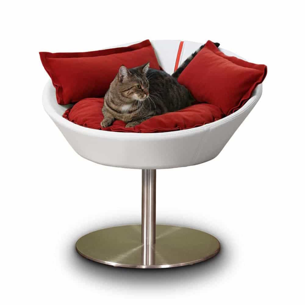 Kitten rests deeply relaxed in her Cosmo cat bed by pet-interiors